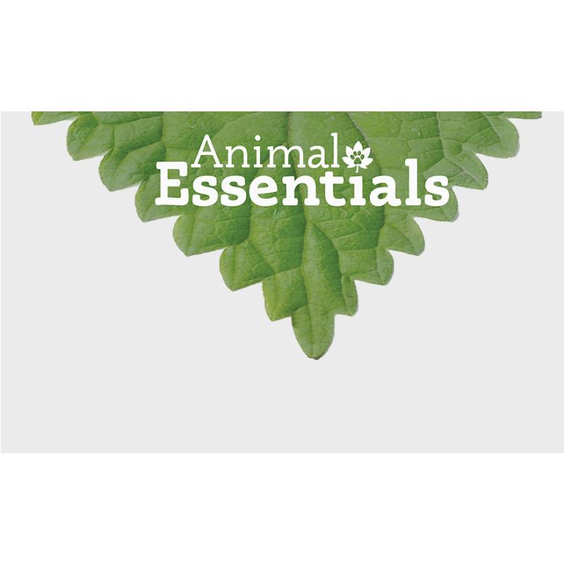 ANIMAL ESSENTIALS Plant Enzyme Probiotic 300-g